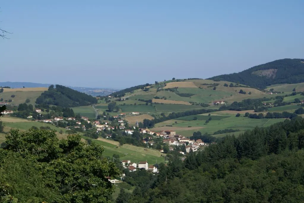 Chateau De Ronziere Bed & Breakfast Saint-Forgeux France